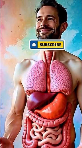Digestive System Animation | Human #anatomy