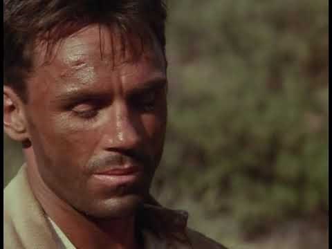 Dzikie pięści - Savate.(1995).DVDRip.Lektor PL Western / Akcja