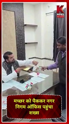 मच्छर को पैक कर नगर निगम ऑफिस पहुंचा शख्स | K News India