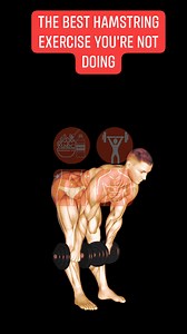 BUILD MEGA HAMSTRINGS! The BEST Hamstring Exercise You're NOT Doing (Dumbbell Stiff-Leg Deadlift) Want stronger, more toned hamstrings? Ditch the squats and try dumbbell stiff-leg deadlifts! This exercise is a hamstring powerhouse that will help you build serious muscle definition. In this video, we'll show you exactly how to do dumbbell stiff-leg deadlifts with perfect form to avoid injury and maximize results. #hamstringworkout #deadlifts #gluteworkout #legday #stronglegs #fitness #exercise #w