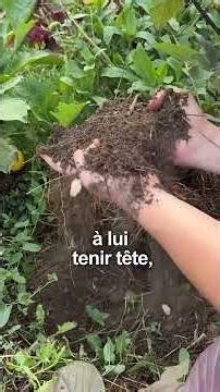 Do not eat vegetables where these 4 plants grow.