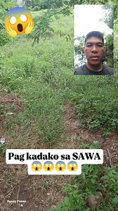 747K views · 3.5K reactions | Kang kinsa kaha ning Alaga nga SAWA ang Naka buhi Diri sa Bagsakan #python #sawa #snake #highlights #viralreels #trendingreels #meta #viewers #friends #follower #everyone #StarSender | Danny Puasa | Facebook