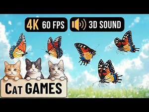 12 Hour Cat Games Compilation - Ribbons, Birds & Mice! Ultimate Fun for Cats | CAT GAMES DAILY