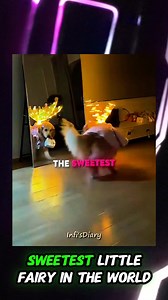 The Adorable Fairy Dog Who Fell in Love With Her Own Reflection #fblifestyle #truestory #inspirational #truelove #storytime | Facts By AN