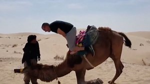 Camel fail