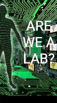 Fermi Paradox Meets the Simulation Hypothesis — What Would Observables Look Like?