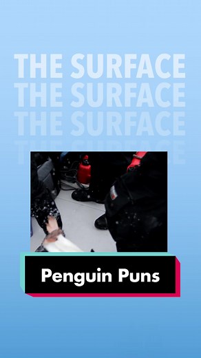Top 10 Penguin Puns That Will Make You LOL