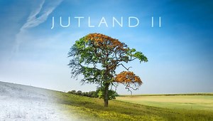 Nature Video: “Jutland II – Breath Of The Seasons” In Denmark By Jonas Høholt
