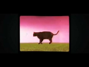 Pbs kids program break (WUNC-TV 2003)