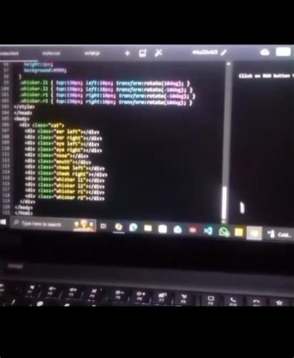 Mini Cat face💗Using HTML CSS #coding #html #css