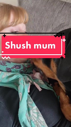 Shush mum. #lulutherottweiler #rottweiler #shush #shh #hush #dogsoftiktok #fyp