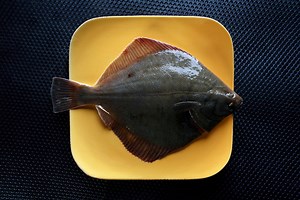 Harbour Fish | Queenstown NZ