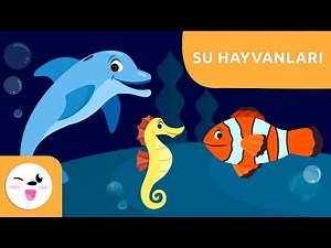 Çocuklar için su hayvanları - Çocukların kelime hazneleri için