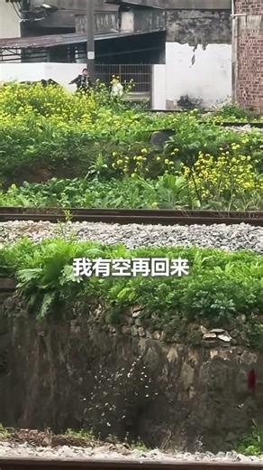 “有空再回来！”过完年了，小朋友们也有自己的道别......网友：穿透力好强的声音 ，将我一把拉回童年！（素材来源：抖音@南导）