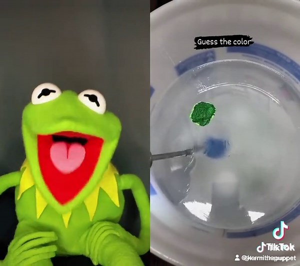 Laughing Kermit the Frog Memes Compilation