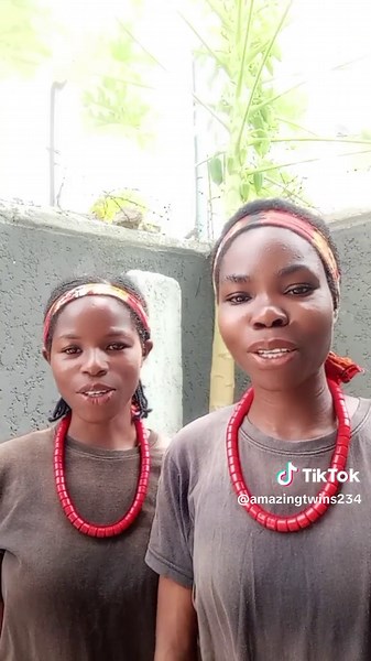 #goviral #fyp #fypppppppa | the famous twins big sister