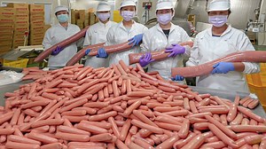 1.6M views · 25K reactions | 125,000 pcs a day! Spicy Chicken Sausage Mass Production - Food Factory #sausage #spicysausage #chickensausage #hotdog #chickenhotdog #spicyhotdog #sausagerecipe #Taiwanesefood #foodfactory ##processingplant #massproduction #kfood #skill #process #streetfood | Food Processing | Facebook