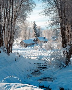 Winter country scene ❄🩵☃ | Whimsy Prairie