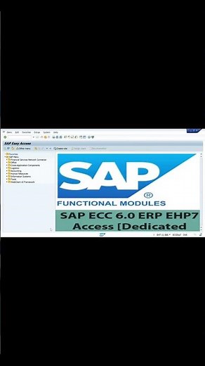 How to change SAP Font Size and Font Style #sap #sapmmtraining #sapfico #sappm #sapabap #sapjobs