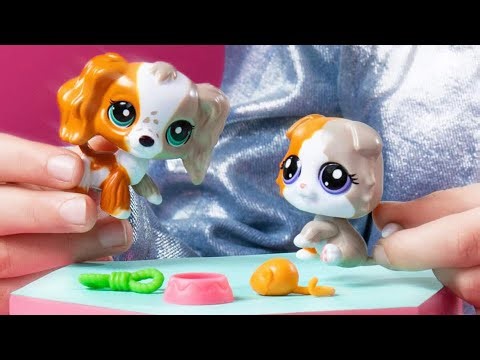Opening LPS waves 3 pet pairs look alike set ~ G7 spaniel and Scottish fold set ~ LPSGalaxyCloud