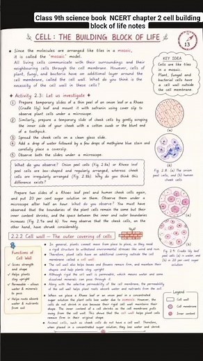 cell the building block of life/ class 9th exploration(science) ch 2 Biology full notes/ NCERT book