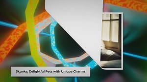 The Best Dog Food for Pet Skunks: A Comprehensive Guide