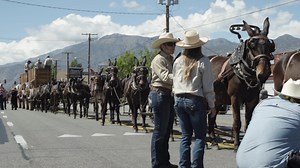 5K views · 152 reactions | Are we ready to see the 20 Mule Team at this year's Bishop Mule Days Celebration? Yes, we are! Tickets and RV spaces are on sale now! Call 760-872-4263; email: info@muledays.org or visit our website: www.muledays.org click on "mule days tickets". See you May 24th - 29th, 2022! | Bishop Mule Days Celebration | Facebook