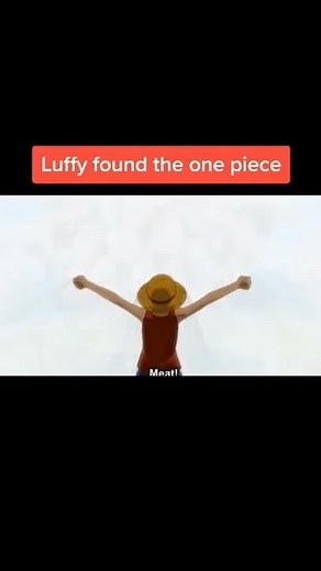 Luffy found one piece