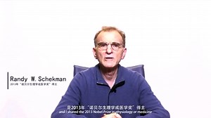 【诺贝尔奖人物专栏】兰迪·谢克曼（Randy Schekman）