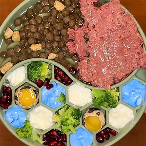 Discover the Rawmix difference! Open Farm's recipes are designed to nourish your dog with every bite, using only the highest quality, sustainable ingredients.🐾💚 *Consult vet for raw food consumption | Open Farm