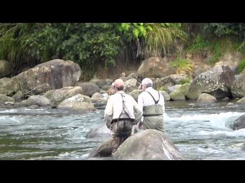 Fly fishing the Tongariro, New Zealand, with Cicadas.mov