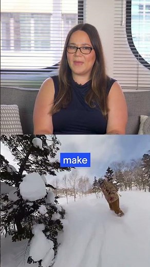 Find the Best Travel Insurance for Europe