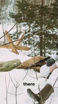 Unexpected German Attack: Ardennes Forest 1944
