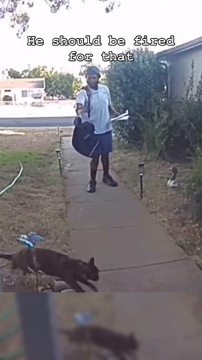 Pepper Spray Central on Instagram: "Mailman allegedly used pepper spray outside of a residence on a cat! He denies all allegations. #usps #cat #pepperspray #ring #delivery"