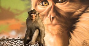 Episode 1 Preview | Residents