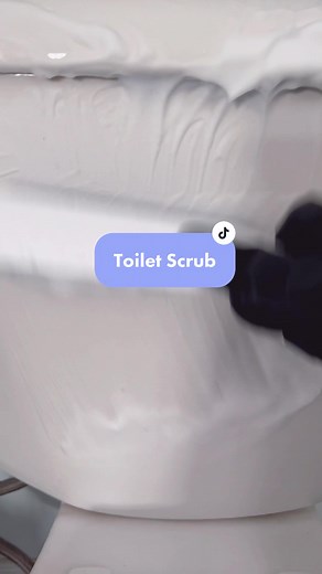 A toilet scrub to start your day 😝 #cleantok #toiletclean #crazy #patsycline #sosatisfying #cleanwithsnowenne @snowenne_cleans @snowenne_cleans