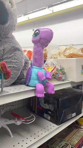 Exploring Unique Stuffed Animals at Thrift Stores