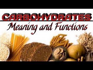 DETAILED EXPLANATION OF THE MEANING AND FUNCTIONS OF CARBOHYDRATES