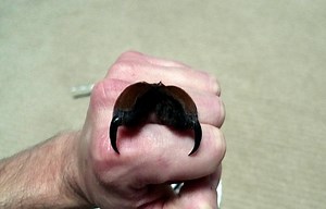 A Word about Tarantula Bites