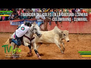 Tradición del Coleo en la Cultura Llanera Colombiana - Cumaral - TvAgro por Juan Gonzalo Angel