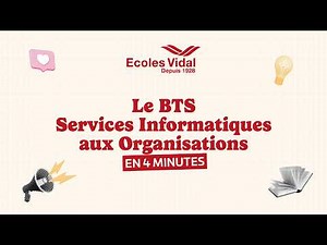 BTS SIO : compétences, métiers et débouchés | Écoles Vidal