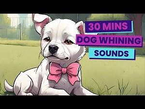 30 Minutes of Soothing Dog Whining