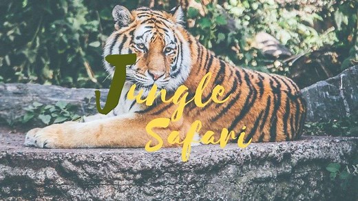 The 15 Best Places For Jungle Safari In India In 2024