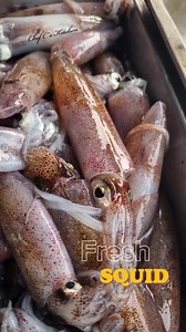 Squid Freshness Check: ✅️ firm and plump flesh ✅️ shiny and smooth exterior ✅️ bright, clear, and shiny eyes ✅️ movement in pigmentation ✅️ mild smell of the sea (or no smell at all) How do you like to cook fresh squid? 😊 #squid #pusit #freshcatch | Chef C's Kitchen