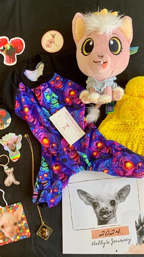 It’s time for another raffle!!! Today is a bunch of fun Holly stuff along with some custom dog jams, pom hat, one of a kind necklace and more! Depending on who wins will determine jams and hat size and availability. A memorial plushie of Holly never to be made ever again too! This raffle is a 24 hour raffle ending Friday at 3 pm so be sure to purchase your $5 tickets quickly! Funds from this raffle will go towards my newly unexpected boy that needs some love are care. Tickets can be purchased at