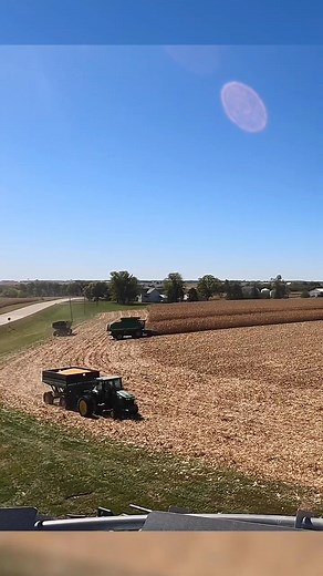Last surviving stalk #corn #harvest #farming #agriculture #farmmachinery #combine | This'll Do Farm