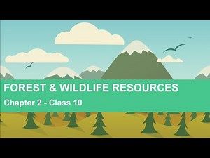 Forest and Wildlife Resources - Chapter 2 Geography NCERT Class 10