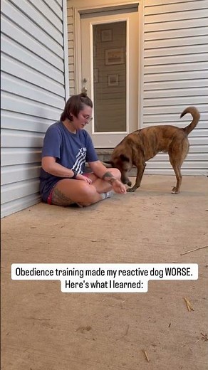 Most obedience training focuses on control.