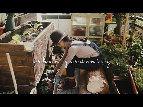 #33 Easiest Way to Make Organic Fertilizer for Your Balcony Garden | Bokashi Compost