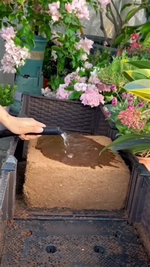 Shan | Business & Marketing on Instagram: "Start business with Coconut Waste Comment "COCONUT" and I'll send you the full setup guide. [Business, new business ideas, marketing, ecommerce, coconut waste recycling business, cocopeat blocks, how to start business, business setup guide, low investment business, money making tips] #business #businessidea #coconut #cocopeat #ecommerce"